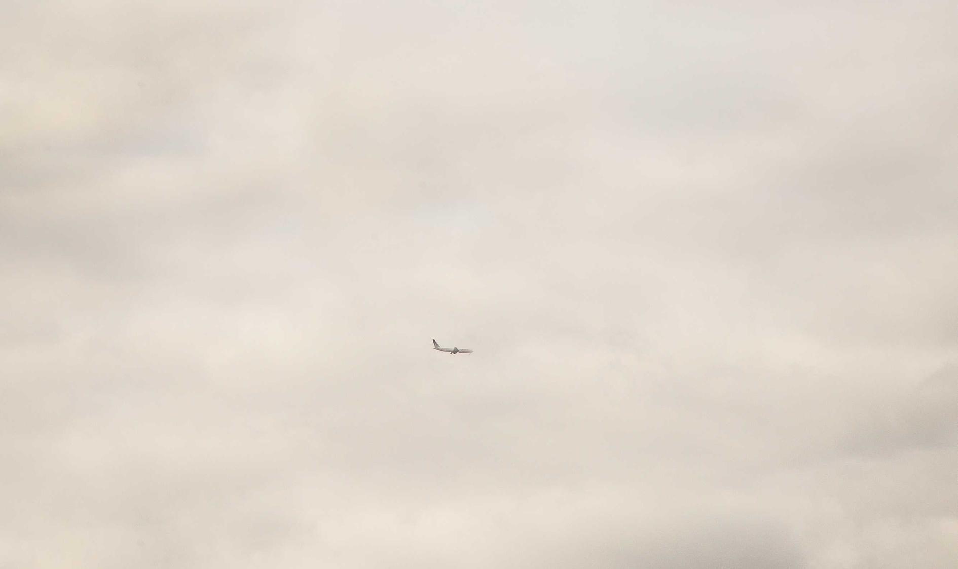 正规得流量卡:代理注册澳门商标要求