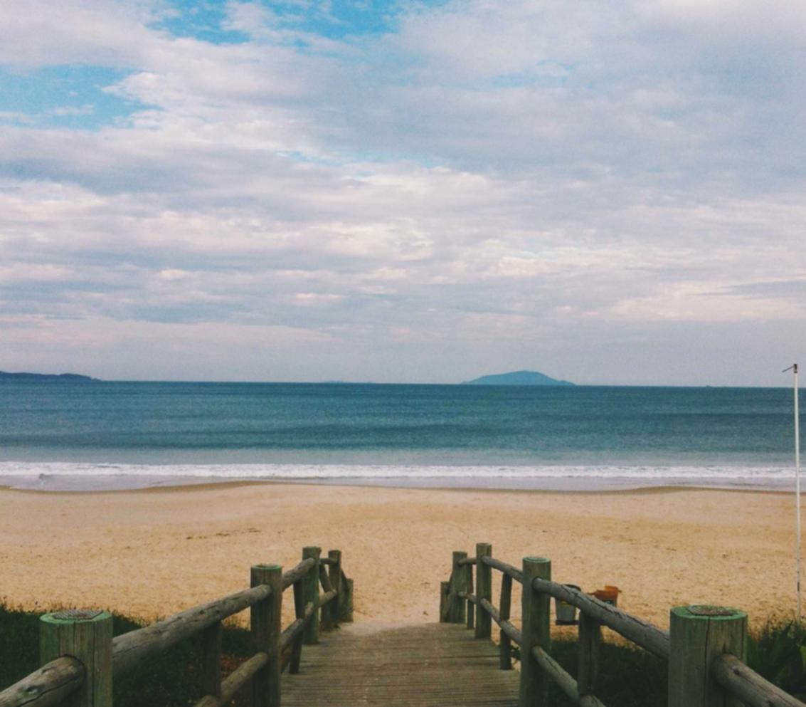 see详情下载教程app