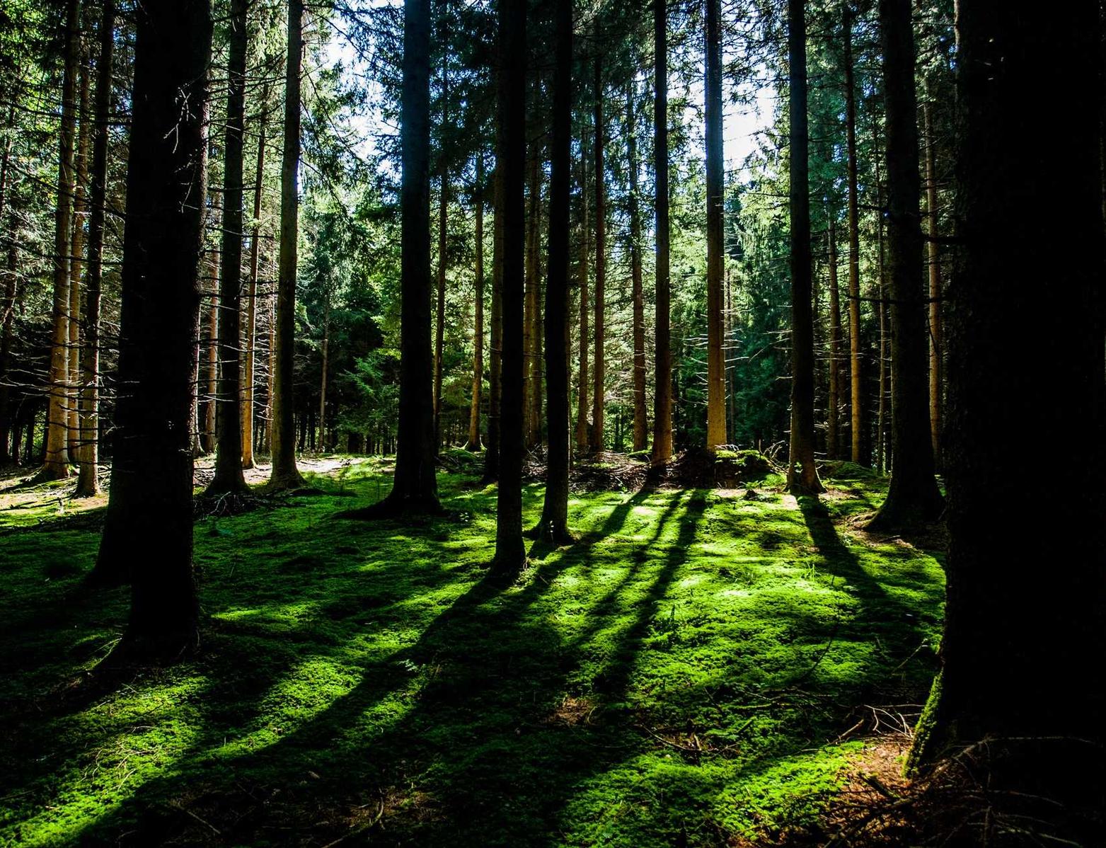 各种国外VX号：用短信记录美好的回忆