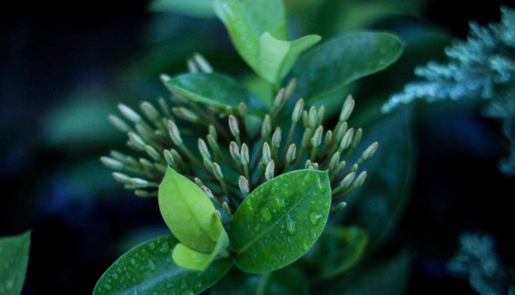 国外ddos攻击页端|云账号如何注册使用