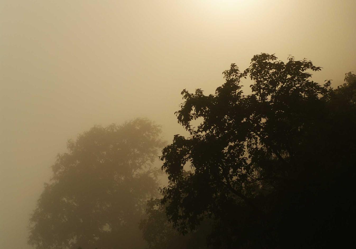 乐语通信实名账号：代理注册企业收费标准