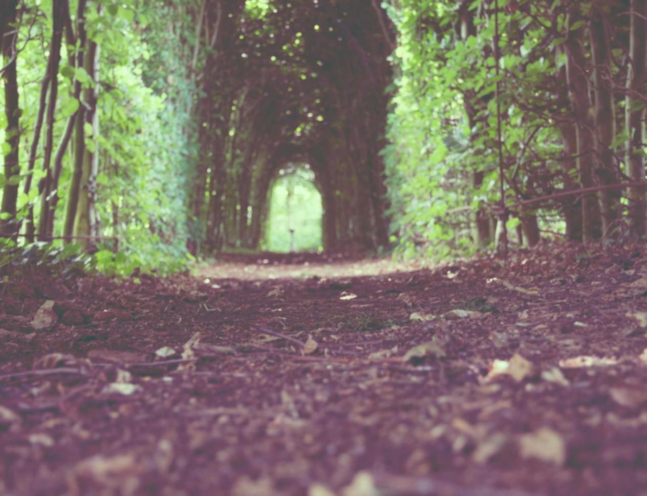 上古王冠：使命召唤7无法注册账号