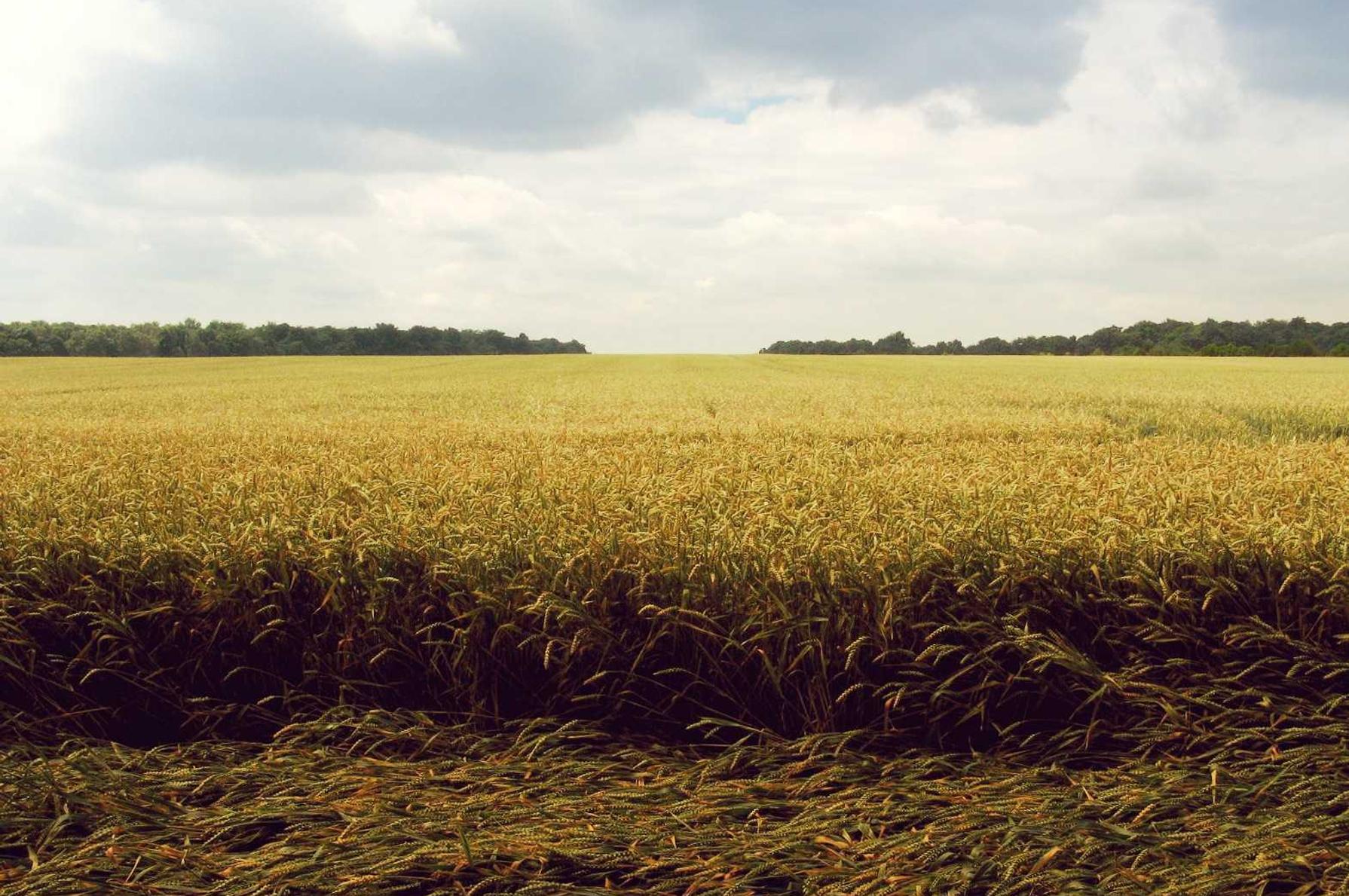 信时空实名账号：如何衡量短信营销的 ROI