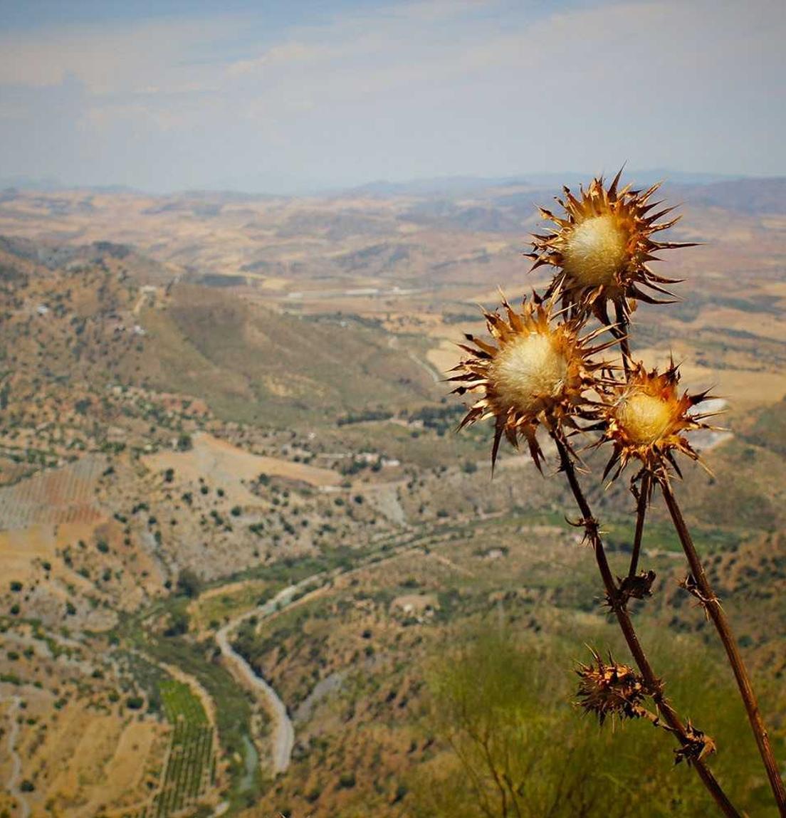 丽晶国际实名账号：详情下载教程海课APP