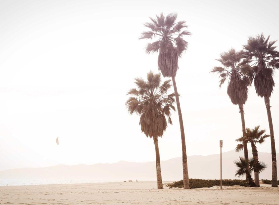 泡泡实名账号：山东如何代理注册公司