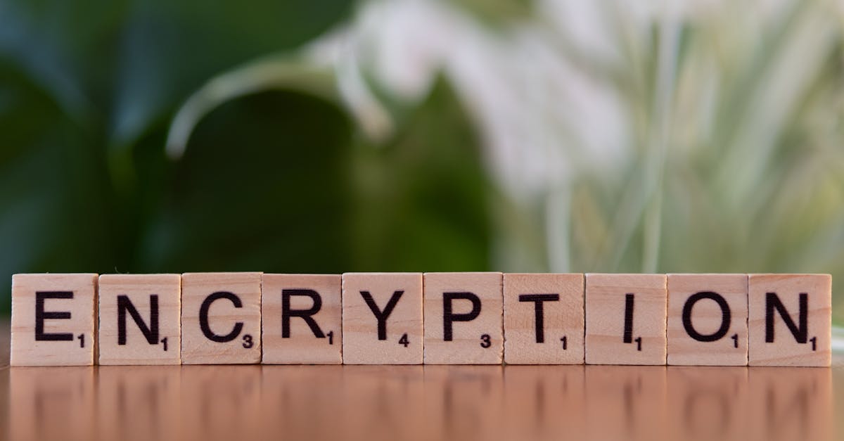 极光实名账号：上海福彩购买平台有哪些