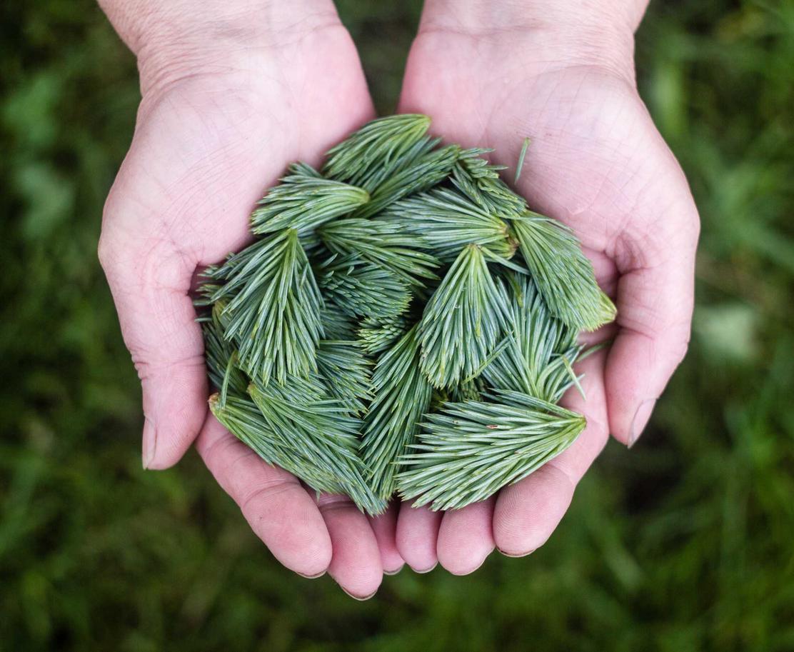 荣耀3utouu详情下载教程官方app详情下载教程