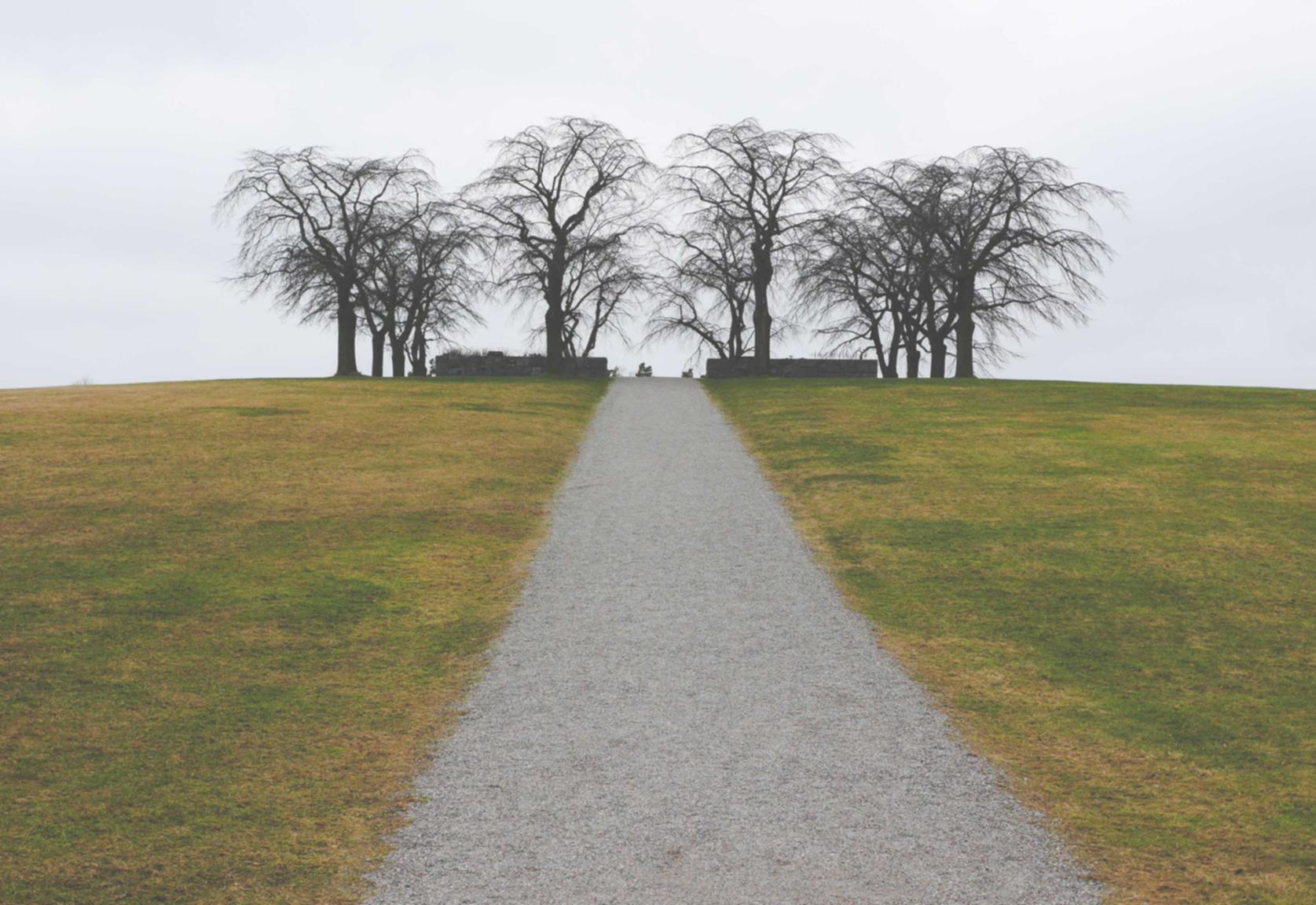 抖音实名账号：极4平台代理