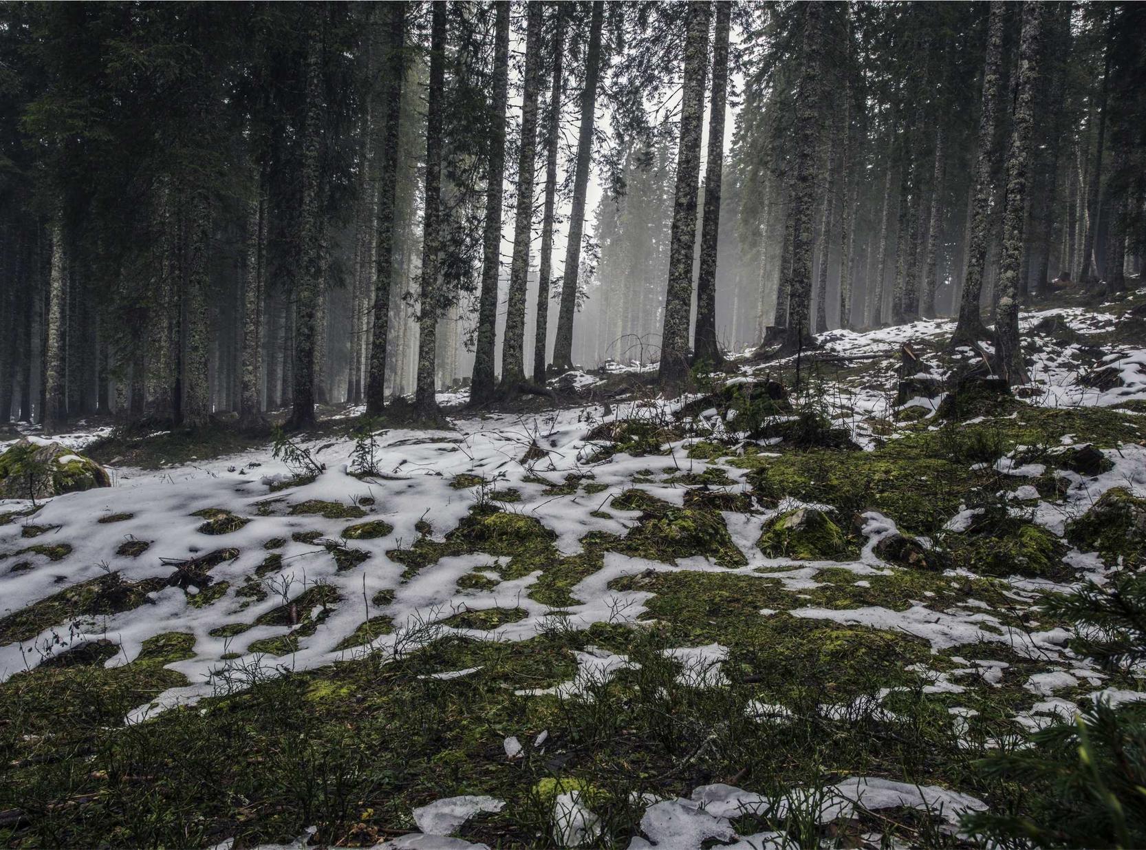 实名抖音号买卖：详情下载教程视频app