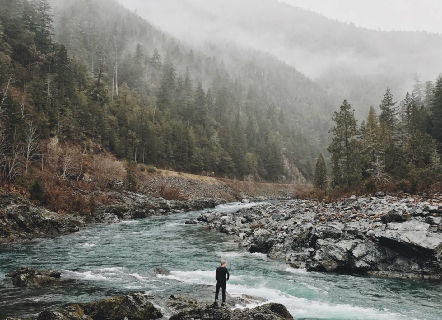 分发实名账号：新新球鞋网app详情下载教程