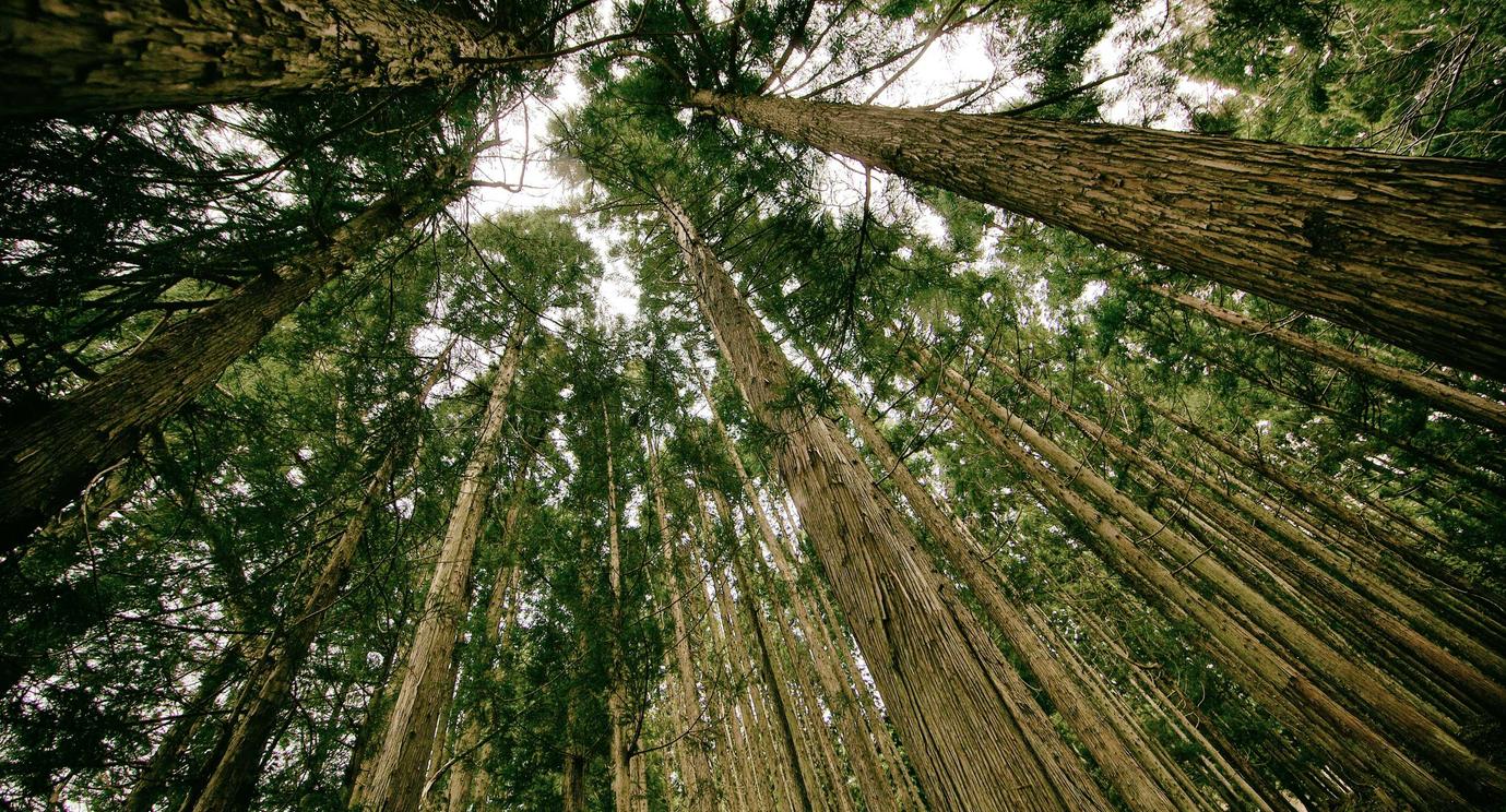 新寻仙：多酷游戏账号注册时间