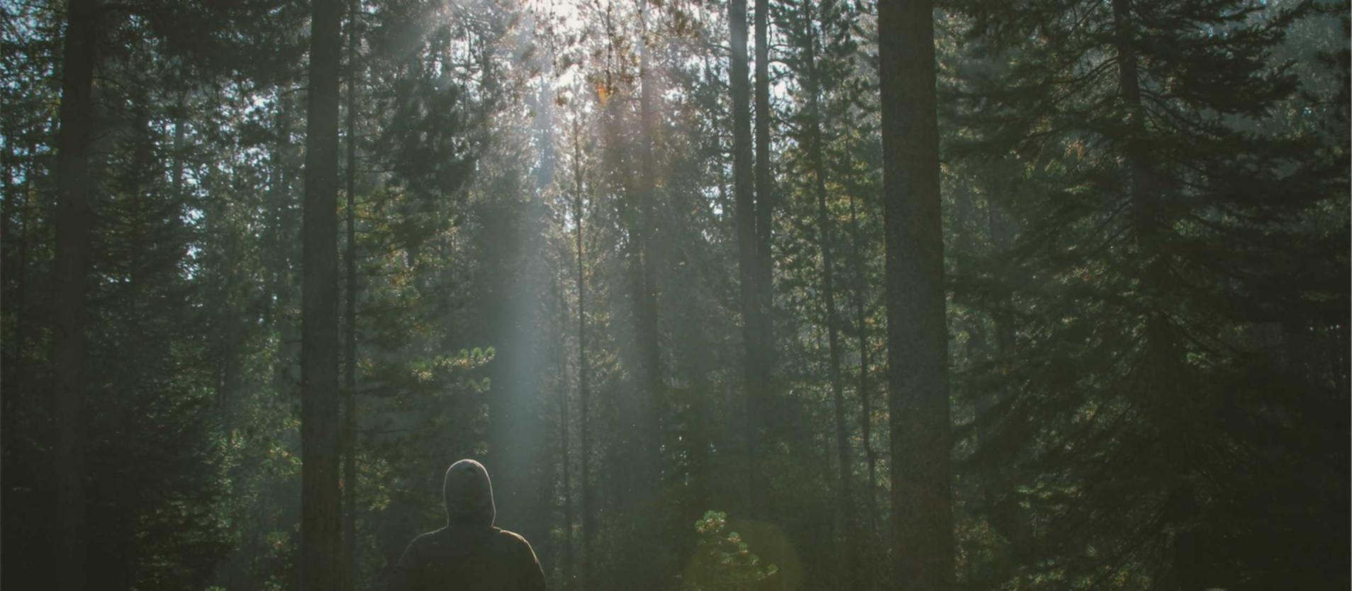 匿名号码卡批发：怎么删除平台券购买记录