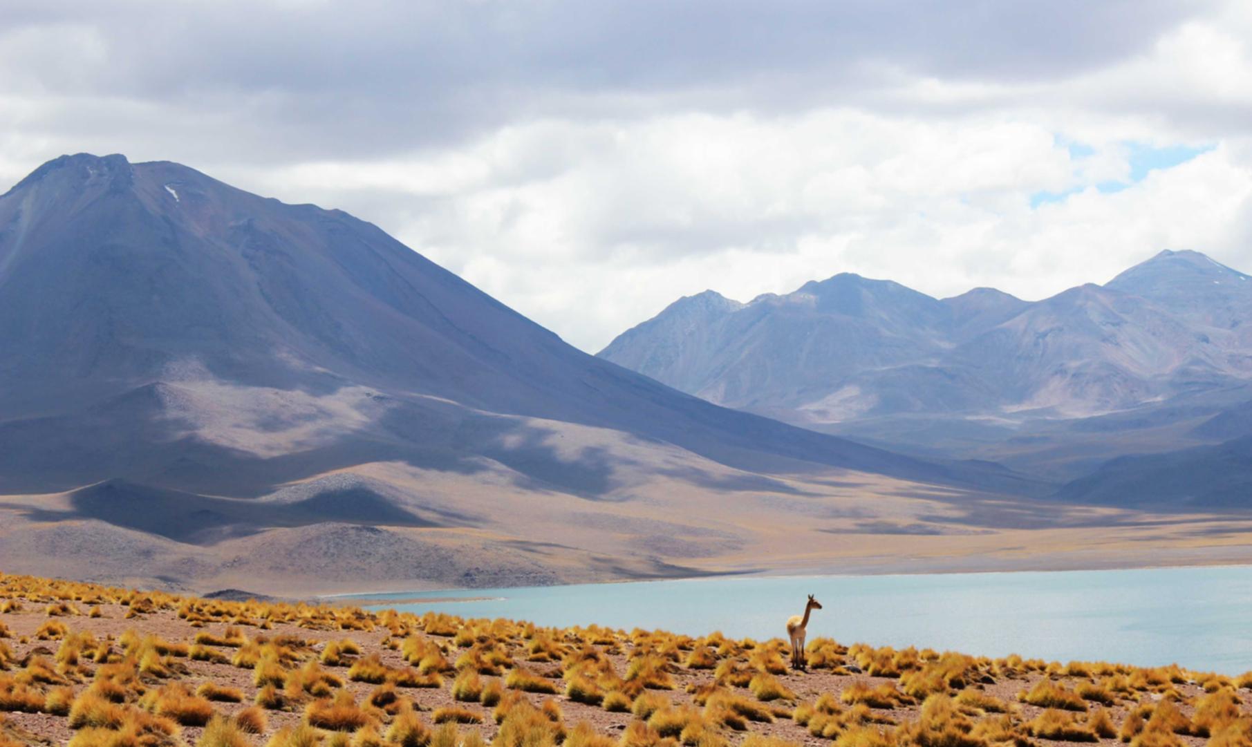 福建农商银行app详情下载教程