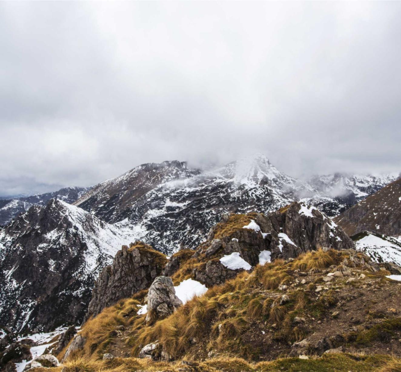 缅甸云斯顿蓝莓爆珠：同心代理记账注册