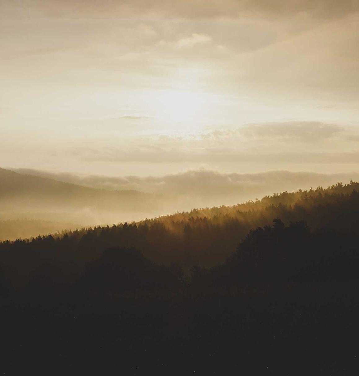 烟草行业环境责任