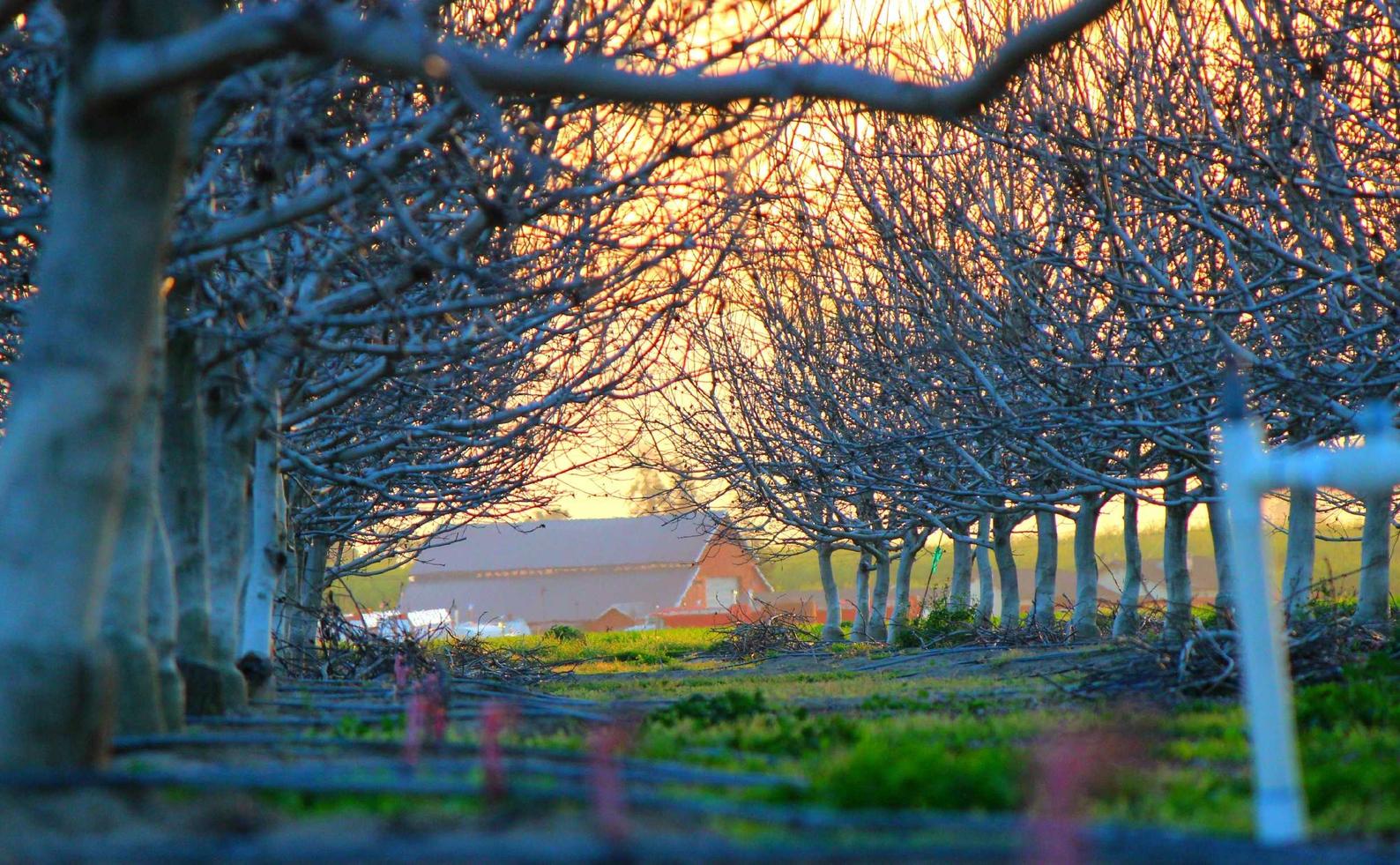 全球住宅ip实名账号：流量卡的通用性和兼容性