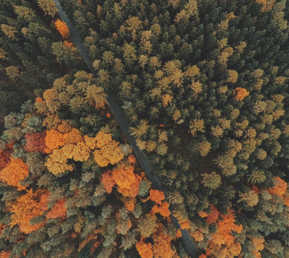 DDOS网页端|窗口相机app详情下载教程