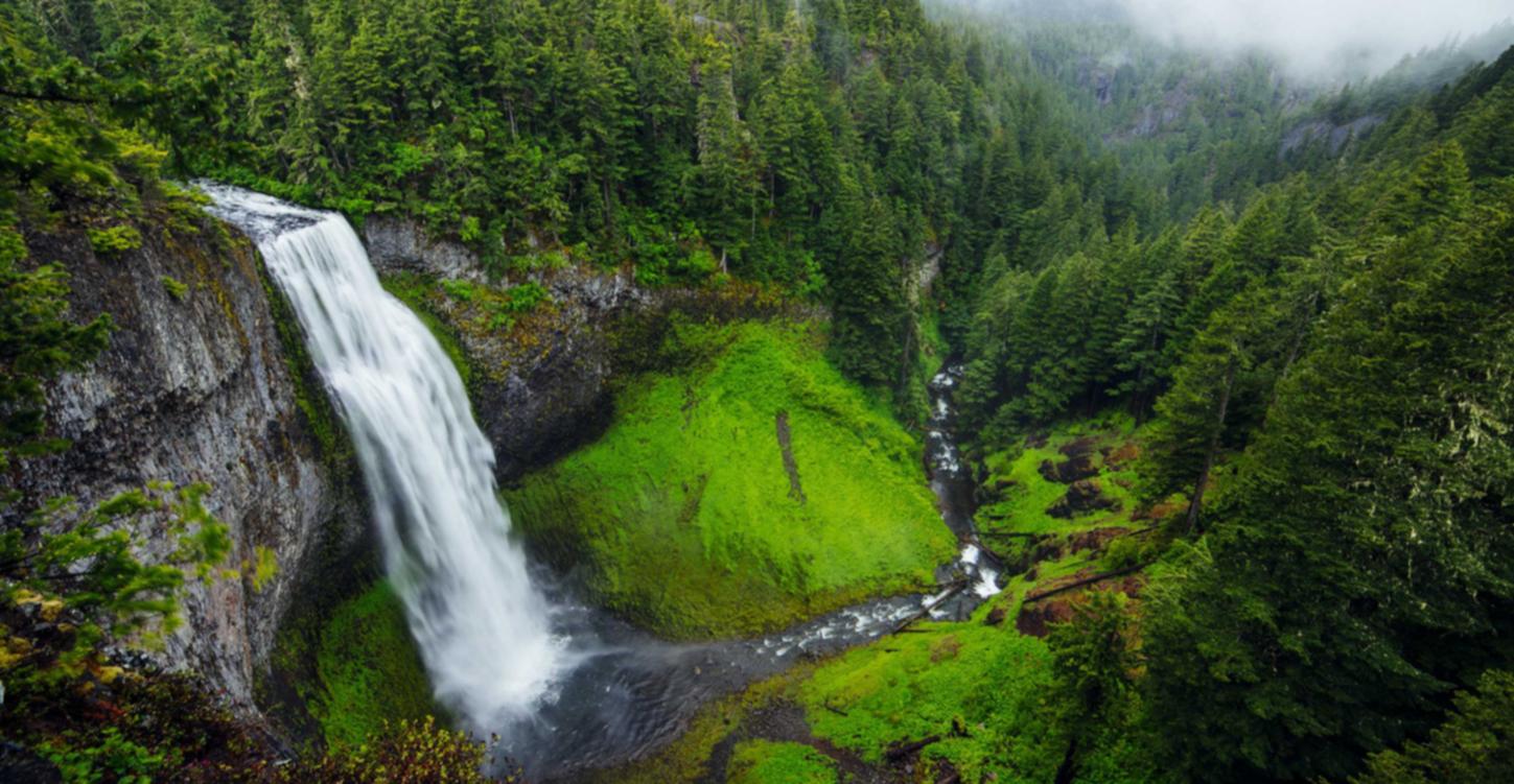 长城移动实名账号：财税代理注册流程