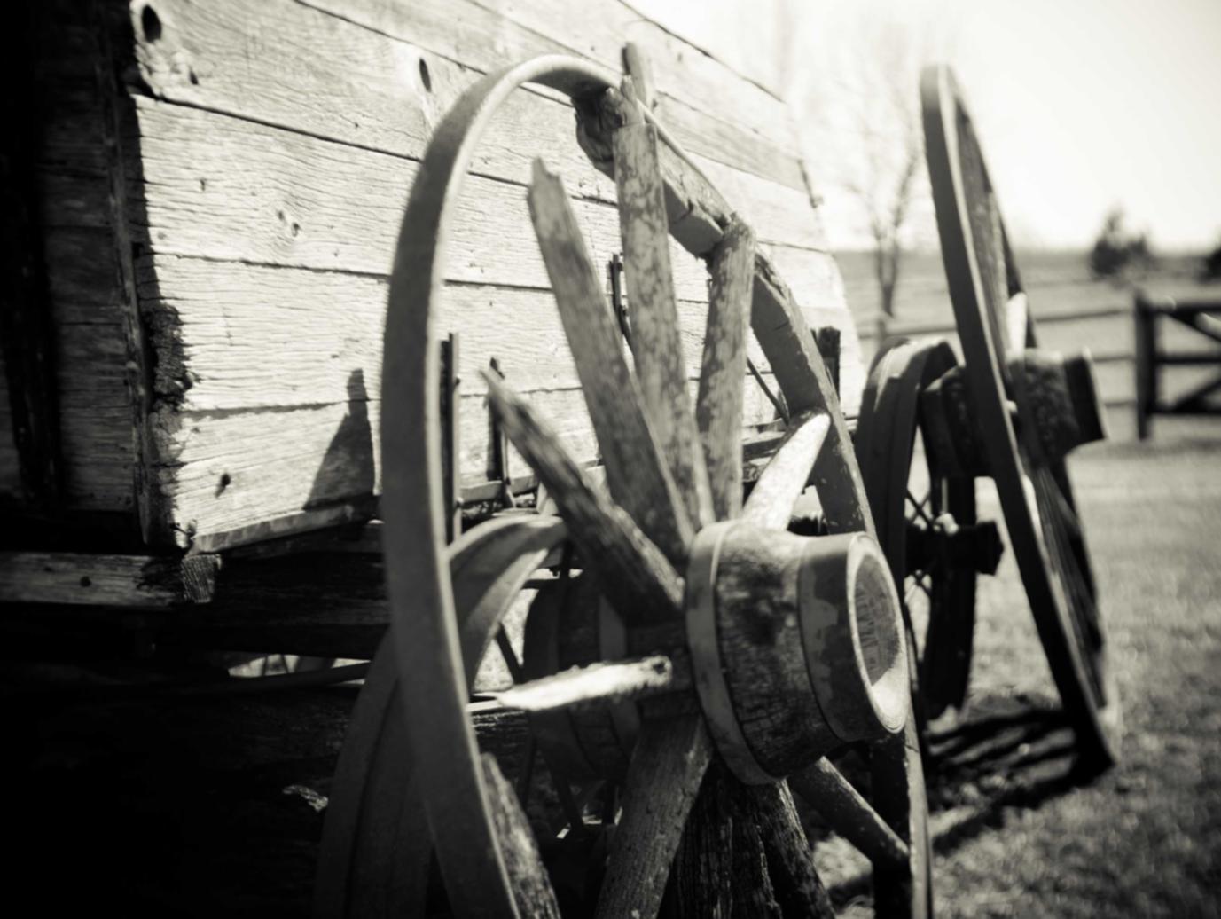 碧雪情天手游：注册专利代理师考试时间