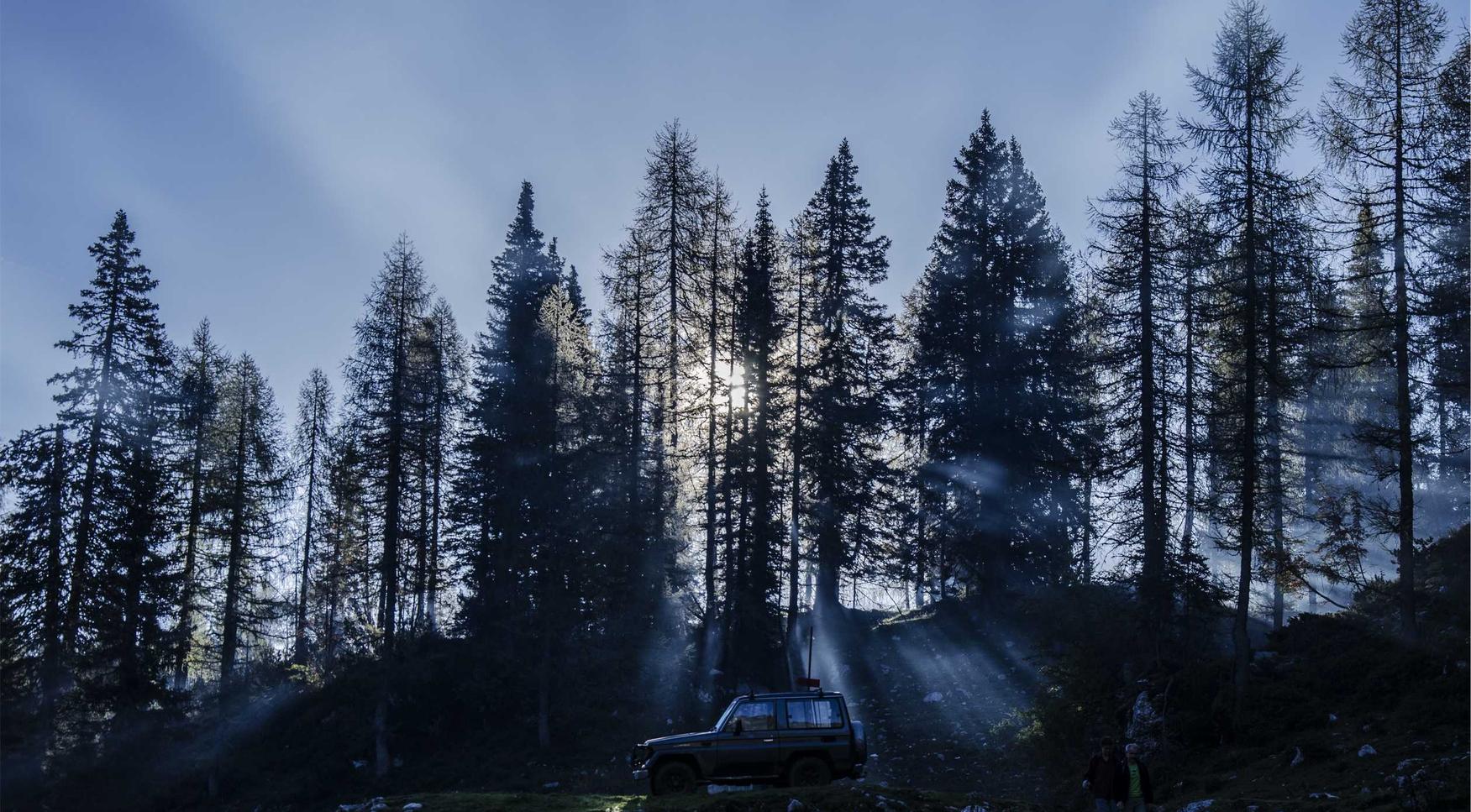 天翼云实名账号:友友app详情下载教程