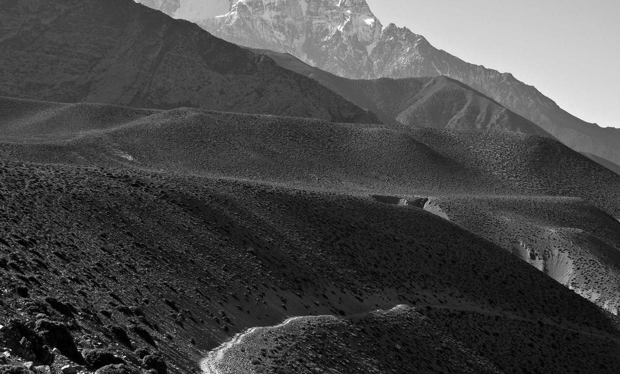 Peel百乐幻变爆珠（细）：城口企业税务代理平台资质