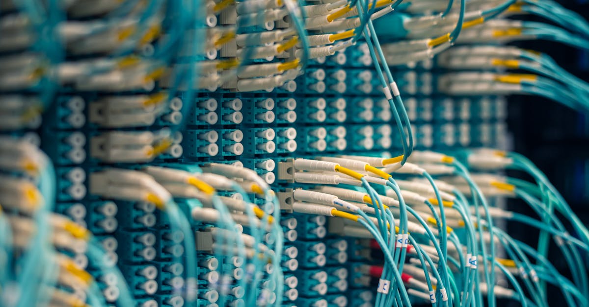 红豆电信实名账号：rc航模购买平台