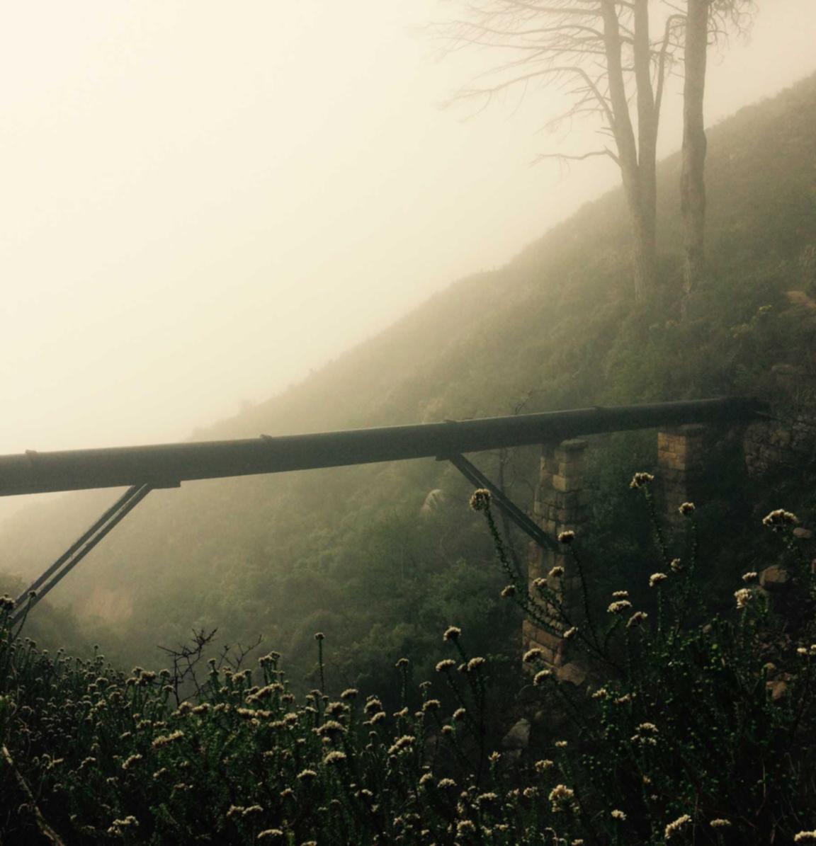 防封电销卡：爱奇艺app详情下载教程电脑详情下载教程