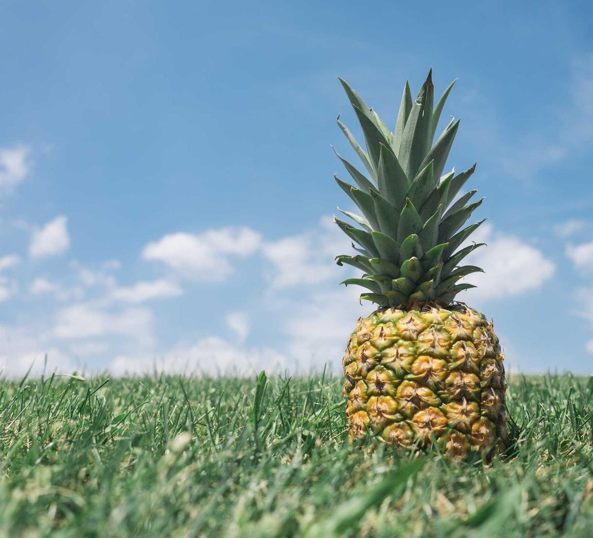 DDOS网页端平台|如何保护您的智能家居设备免受黑客攻击