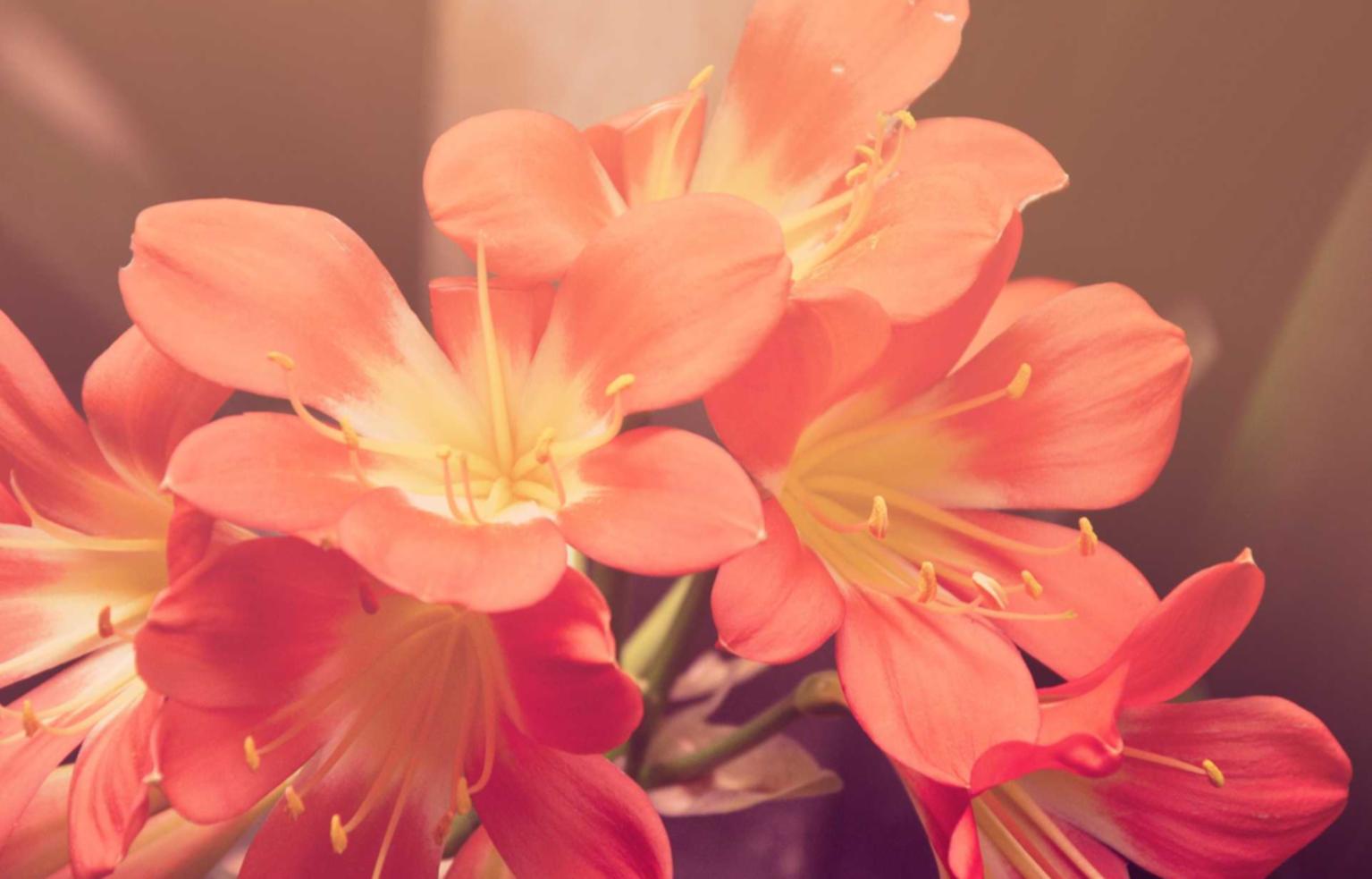 技术支持辅助如何被制作并销售到黑市