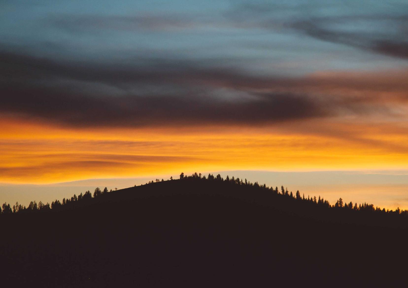 黄金叶100天叶:详情下载教程云账本app